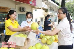 Bưu điện tỉnh hỗ trợ tiêu thụ 3 tấn bưởi Phúc Trạch Hà Tĩnh