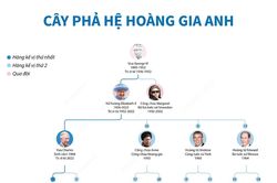Thông tin chi tiết về cây phả hệ Hoàng gia Anh