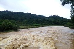 Thời tiết ngày 9/9: Bắc Bộ, Bắc Trung Bộ có nơi mưa rất to, nguy cơ ngập úng cao