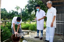 Toàn tỉnh có 194 ca mắc sốt xuất huyết