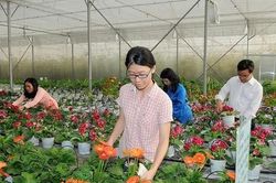 TPHCM thu hút 8 chuyên gia nông nghiệp công nghệ cao