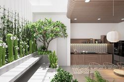 Nhà phố đưa ánh sáng và cây xanh vào nhà, khí tươi tràn ngập từng góc nhỏ