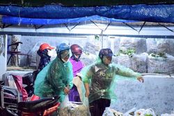 Hàng trăm tấn nông sản tiêu thụ mỗi đêm ở chợ đầu mối Đô Lương