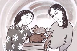Nhớ thương ngày cũ