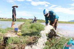 Khẩn trương tiêu thoát nước, bảo vệ sản xuất nông nghiệp