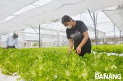 Thúc đẩy tăng trưởng kinh tế xanh tại Đà Nẵng