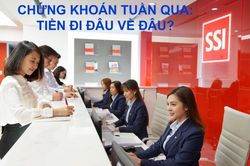 Chứng khoán tuần 5 – 9/9/2022: Dòng tiền xoay vòng tìm cơ hội