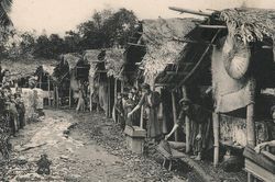 Mọt sách, mọt sử, mọt phim: 'Làm giấy cho người chép thơ'