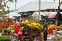 90% người lao động ủng hộ đề xuất nghỉ tết 8 ngày