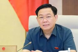 Gần 30 dự án vào 'tầm ngắm' kiểm toán