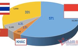 Lượng xe nhập khẩu từ Indonesia về Việt Nam đang áp đảo Thái Lan, Trung Quốc