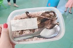 Xác minh thông tin bữa cơm của học sinh vùng cao ở Quảng Nam chỉ có món thịt chuột chế biến sơ sài