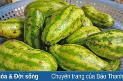 Dưa hấu non muối chua