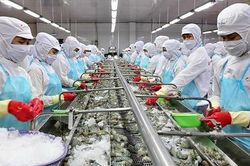 Xuất khẩu thủy sản sang thị trường Nga tăng mạnh