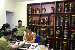 Đột kích hai kho rượu ngâm động vật không rõ nguồn gốc, thu giữ hơn 100 bình các loại