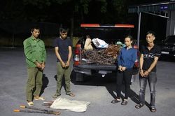 Quảng Ninh: Bắt 4 đối tượng trộm cắp, tiêu thụ cáp điện trên cao tốc Vân Đồn - Móng Cái