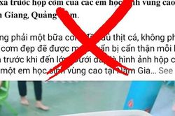 Xác minh, xử lý người đăng thông tin sai sự thật vụ 'hộp cơm thịt chuột' của học sinh Quảng Nam