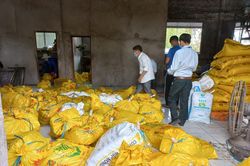 An Giang sẽ tiêu hủy gần 6,8 tấn chả đòn chay sử dụng hàn the