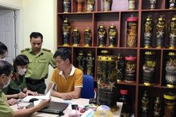 Liên tục phát hiện rượu không rõ nguồn gốc ngâm động vật hoang dã