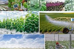Tri thức hóa người nông dân để gỡ nút thắt ngành nông nghiệp