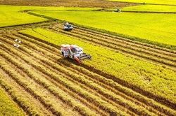 Trợ lực nào cho nông nghiệp tuần hoàn?