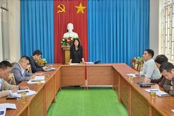 Đà Lạt: Trồng cây xanh ven suối Cam Ly