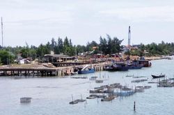 Kinh tế Nâng cấp hạ tầng, phục hồi nguồn lợi thủy sản