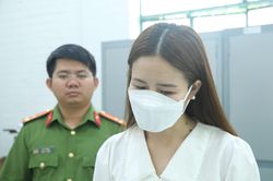 Bắt nữ kế toán trưởng Công ty bất động sản Farms Land