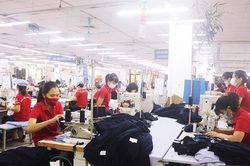 Chi trả hỗ trợ từ quỹ bảo hiểm thất nghiệp: Nhanh chóng, kịp thời, đúng người
