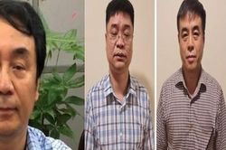 Chiêu trò 'biến hóa' của nhóm cán bộ quản lý thị trường biến chất