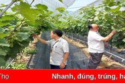 Chú trọng chất lượng phát triển đảng viên