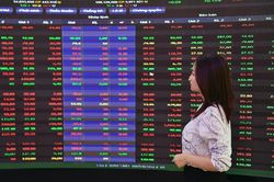Ba cổ phiếu họ FLC giảm sàn sau án phạt mới