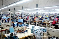 Hỗ trợ doanh nghiệp trong hoạt động xuất nhập khẩu