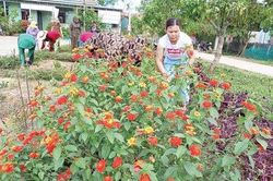 Chính trị - Xã hội Phụ nữ Những tuyến đường nở hoa