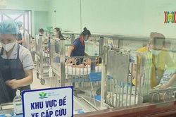 Bệnh nhi nhiễm virus Adeno tăng cao bất thường