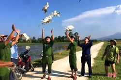 Thu giữ hơn 22.000 dụng cụ bẫy chim ở Nghi Xuân