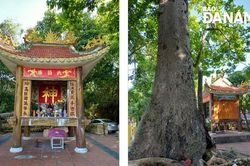 Lạ lùng miếu Thái Giám làng Phong Nam