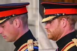 Hoàng tử Harry đã được mặc quân phục, nhưng có chi tiết quan trọng nào phải thay đổi?