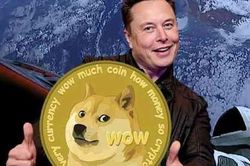 DOGE mất 75% so với Bitcoin kể từ khi Elon Musk xuất hiện trên SNL – Tỷ phú Elon Musk hết phép?