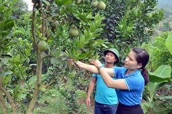 Nhân dân góp sức xây dựng nông thôn mới