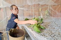 Hiệu quả những mô hình sản xuất mới ở Đam Rông