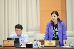 Sửa Luật Đấu thầu: Có 'quân xanh, quân đỏ' không, có gỡ được vướng về đấu thầu thuốc không?