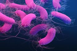 Vi khuẩn Pseudomonas Aeruginosa trong dầu gội: Nguy hiểm chết người!