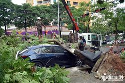 Cây xanh bật gốc đè bẹp nhiều ô tô trong mưa giông ở Hà Nội