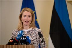 Estonia muốn tịch thu vũ khí của người Nga và Belarus ở nước này