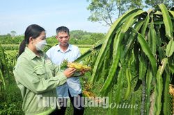 Đảng viên đi đầu ở Đồng Danh