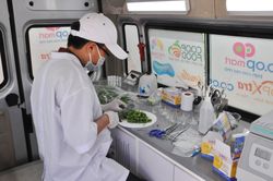 Hệ thống siêu thị Co.opmart cả nước nói không với rau củ VietGAP 'dỏm'