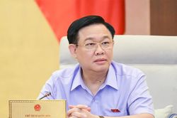 Chủ tịch Quốc hội: Sửa luật để xử lý 'quân xanh, quân đỏ' trong đấu thầu