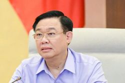'Quân xanh, quân đỏ', gian lận, tiêu cực trong đấu thầu do đâu?