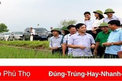Đảm bảo tiến độ sản xuất vụ Đông
